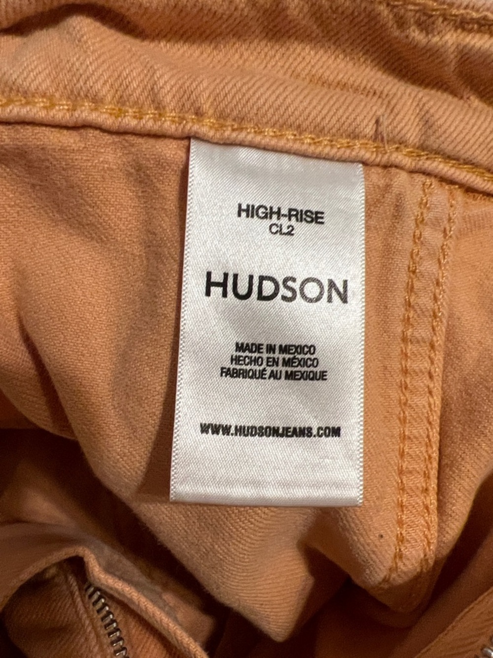 Hudson Cargo Pants in Orange - Picture 5 of 17